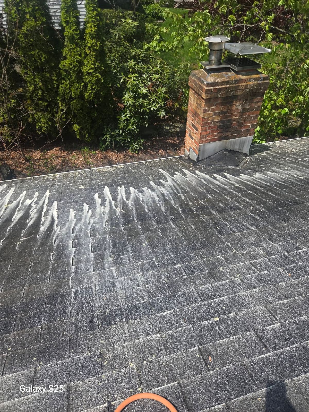 Roof mid-cleaning with treatment foam washing dark stains off the shingles